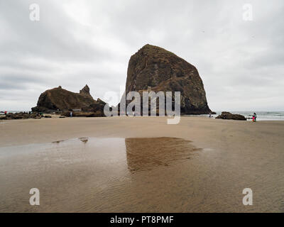 Die Menschen genießen die tidepools um Haystack Rock auf Cannon Beach, Oregon, bei extremer Ebbe an einem bewölkten Tag. Stockfoto