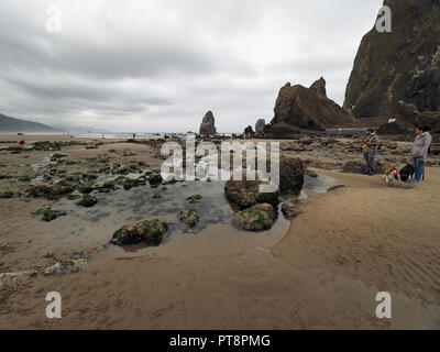 Die Menschen genießen die tidepools um Haystack Rock auf Cannon Beach, Oregon, bei extremer Ebbe an einem bewölkten Tag. Stockfoto