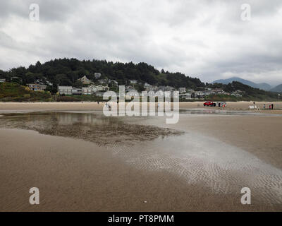 Die Menschen genießen die tidepools um Haystack Rock auf Cannon Beach, Oregon, bei extremer Ebbe an einem bewölkten Tag. Stockfoto