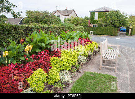 Blume am Straßenrand Grenze mit Heuchera Coleus Begonia semperflorens und Canna. Stockfoto