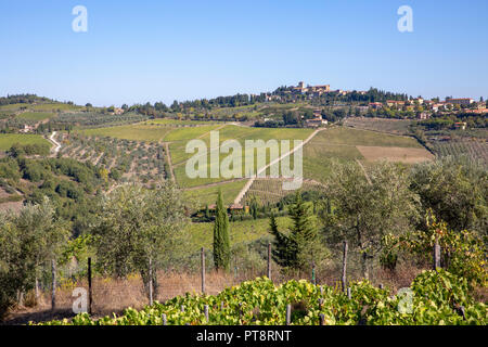 Anzeigen von Panzano in Chianti, Phillip Stadt zwischen Florenz und Siena, Toskana, Italien Stockfoto