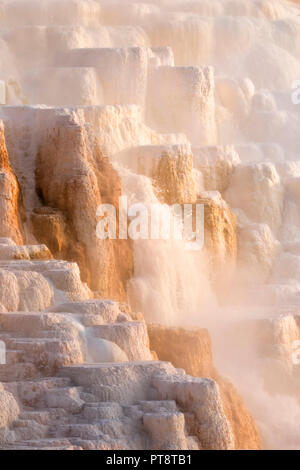 Mammoth Hot Springs Terrassen, Wyoming, USA im Morgenlicht Stockfoto