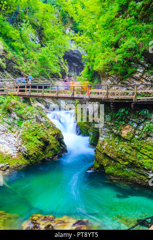 Fluss und Fußgängerbrücke in eine Schlucht. Stockfoto