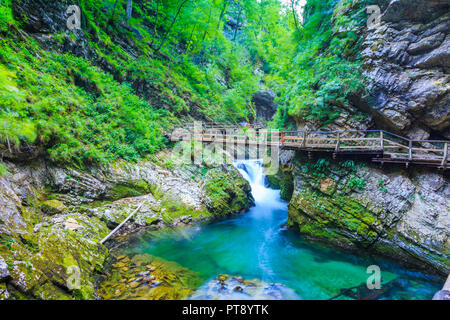 Fluss und Fußgängerbrücke in eine Schlucht. Stockfoto