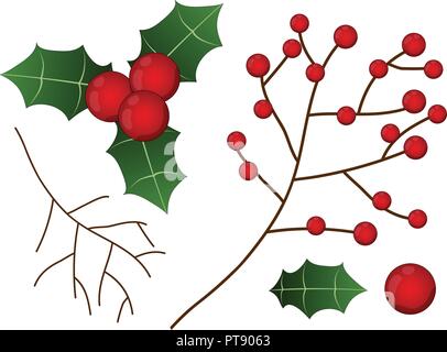 Rote Beere mit Blatt und Zweig Weihnachten isoliert auf weißem Hintergrund. Vector Illustration. Stock Vektor