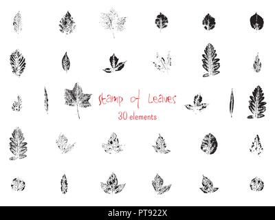 Sammlung von schwarz lack Dichtung Blätter der Bäume und Pflanzen Stock Vektor