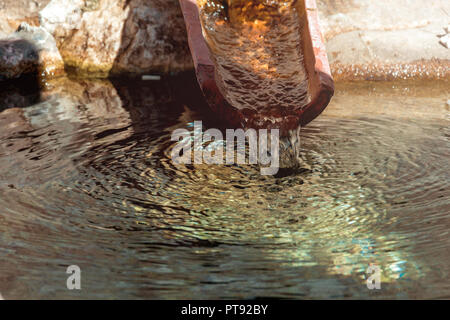 Wasser gießt aus einem Abflussrohr in einem kleinen Bach. Stockfoto