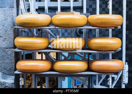 Eine Gruppe von neun großen runden Gouda Käse außerhalb einer Käserei in Amsterdam, Niederlande. Stockfoto