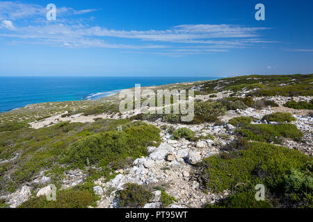 Bunda Cliffs grenzt an die Nullarbor Plain South Australia Stockfoto