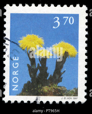 Poststempel Stempel aus Norwegen in den Blumen Serie in 1997. Stockfoto