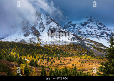 Mount Assiniboine Provincial Park ist ein Provincial Park in British Columbia, Kanada, um Mount Assiniboine gelegen. Stockfoto