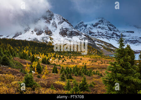 Mount Assiniboine Provincial Park ist ein Provincial Park in British Columbia, Kanada, um Mount Assiniboine gelegen. Stockfoto