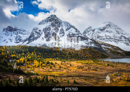 Mount Assiniboine Provincial Park ist ein Provincial Park in British Columbia, Kanada, um Mount Assiniboine gelegen. Stockfoto