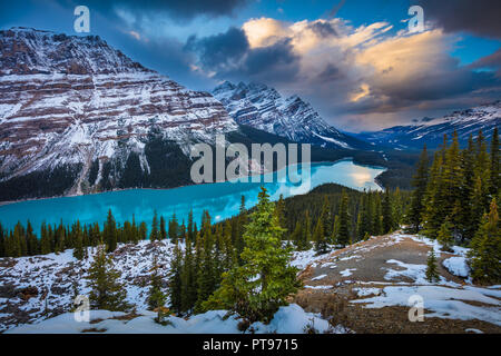 Peyto Lake ist ein Gletscher-fed Lake im Banff Nationalpark in den Kanadischen Rockies. Der See selbst ist leicht vom Icefields Parkway abgerufen. Stockfoto