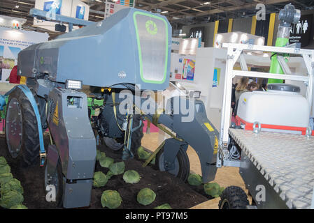 Ambiente Fotografie an der Landwirtschaft 2018 zeigen Stockfoto