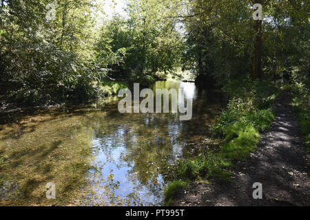 River Cray, Foots Cray Meadows, Sidcup, Kent. VEREINIGTES KÖNIGREICH Stockfoto