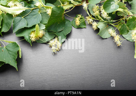 Linden Blumen auf schwarzem Schiefer Hintergrund. Platz für Text Stockfoto