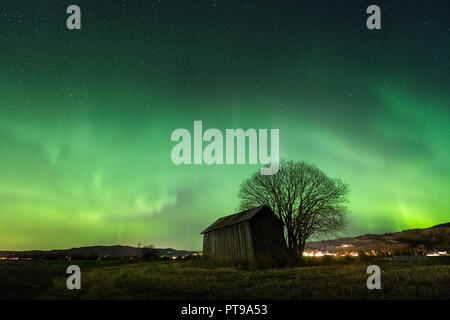 Aurora Borealis auf die Nacht Himmel über Selbu, mitten in Norwegen. Stockfoto