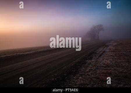 Nebligen Abend- und Abendlicht von Reppe Felder, Ranheim, Norwegen. Stockfoto
