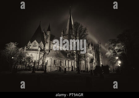 Nidarosdomen Kathedrale in Trondheim, dunkle, herbstliche Nacht. Norwegen. Stockfoto