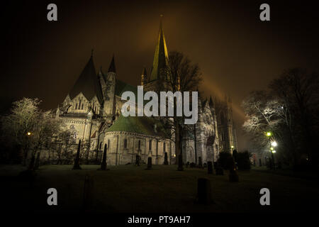 Nidarosdomen Kathedrale in Trondheim, dunkle, herbstliche Nacht. Norwegen. Stockfoto