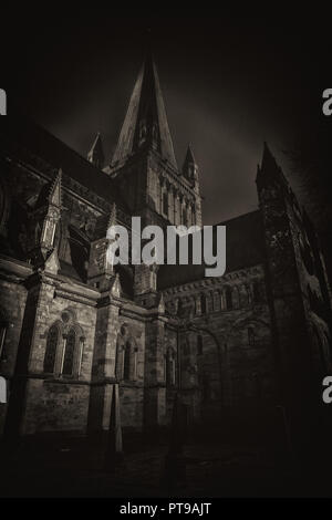 Nidarosdomen Kathedrale in Trondheim, dunkle, herbstliche Nacht. Norwegen. Stockfoto