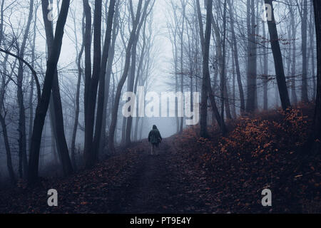 Mann in einem dunklen nebligen Wald Stockfoto