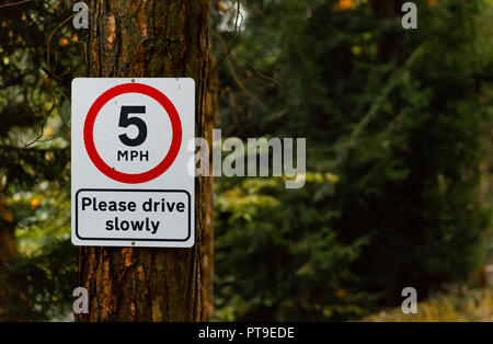 Rot und Weiß 5 MPH fahren Sie bitte langsam Zeichen Hängen an einem Baum in einem Wald in der Mitte des Vereinigten Königreichs an einem Tag Herbst Stockfoto