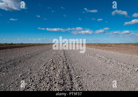 Landschaft entlang der Route 40, durch die patagonische Wüste in Argentinien. Stockfoto