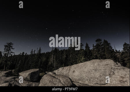 Ein Schuss von Te nightsky, zeigt das Sternbild Orion, mit Bäumen im Vordergrund bei Mondlicht beleuchtet wird. Yoseminte National Park, Ca, USA. Stockfoto