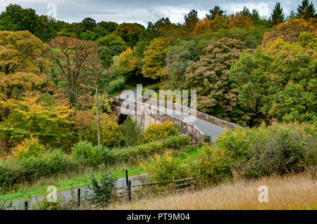 Doeford Brücke, Chipping. 8. Okt 2018. UK Wetter: Herbst Farben bei Doeford Brücke über den Fluss Hodder, in der Nähe von Chipping, Preston, Lancashire. Stockfoto