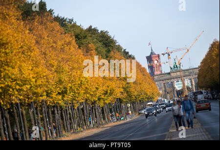 08. Oktober 2018, Berlin: Die Blätter im Herbst durch glänzen in der Sonne auf den Bäumen an der Straße des 17. Juni zwischen der Siegessäule und dem Brandenburger Tor. Foto: Bernd von Jutrczenka/dpa Stockfoto