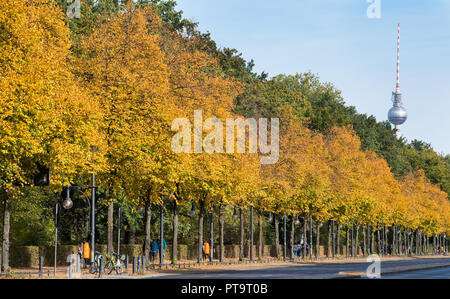 08. Oktober 2018, Berlin: Die Blätter im Herbst durch glänzen in der Sonne auf den Bäumen an der Straße des 17. Juni zwischen der Siegessäule und dem Brandenburger Tor. Foto: Bernd von Jutrczenka/dpa Stockfoto