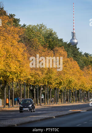 08. Oktober 2018, Berlin: Die Blätter im Herbst durch glänzen in der Sonne auf den Bäumen an der Straße des 17. Juni zwischen der Siegessäule und dem Brandenburger Tor. Foto: Bernd von Jutrczenka/dpa Stockfoto