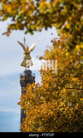 08. Oktober 2018, Berlin: Die Blätter im Herbst durch glänzen in der Sonne auf den Bäumen an der Straße des 17. Juni zwischen der Siegessäule und dem Brandenburger Tor. Foto: Bernd von Jutrczenka/dpa Stockfoto