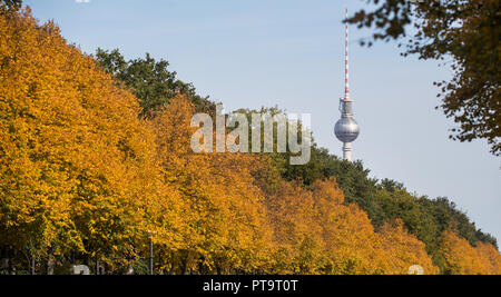 08. Oktober 2018, Berlin: Die Blätter im Herbst durch glänzen in der Sonne auf den Bäumen an der Straße des 17. Juni zwischen der Siegessäule und dem Brandenburger Tor. Foto: Bernd von Jutrczenka/dpa Stockfoto