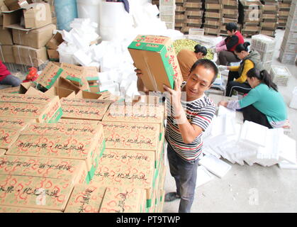 Binzhou, der chinesischen Provinz Shandong. 8. Oktober, 2018. Mitarbeiter sortieren Winter jujubes auf einem e-Business Sales Center unter Zhanhua Xiawa Stadt im Stadtbezirk, im Osten der chinesischen Provinz Shandong, Oktober 8, 2018. Credit: Jia Haining/Xinhua/Alamy leben Nachrichten Stockfoto