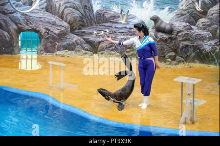 Pjöngjang Zentrale Zoo, Okt 6, 2018: eine Dichtung an der Zentralen Zoo in Pjöngjang Pyongyang, Nordkorea. EDITORIAL NUR VERWENDEN (Mandatory Credit: Gemeinsame Pressekorps Pyeongyang Pool/LBA) (Nordkorea) Stockfoto