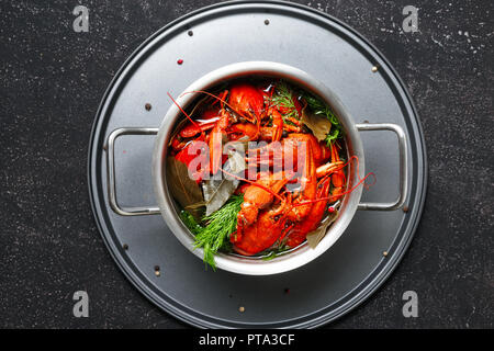 Gekochte Languste mit Dill und Lorbeerblatt in Kochtopf auf schwarzem Hintergrund oben Stockfoto