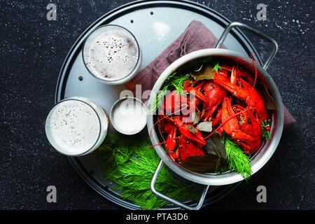 Gekochte Languste mit Dill und Lorbeerblatt auf schwarzem Hintergrund mit einem Glas Pilsener Draufsicht Stockfoto