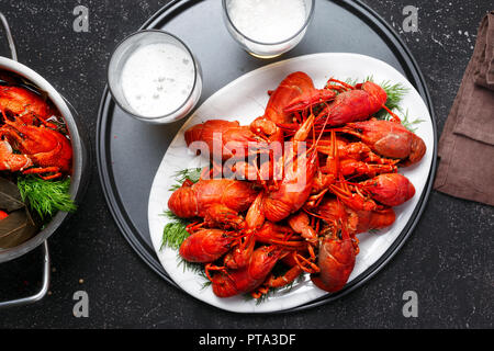 Gekochte Languste mit Dill und Lorbeerblatt auf schwarzem Hintergrund mit einem Glas Pilsener Draufsicht Stockfoto