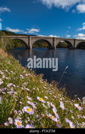 Thomas Telford's Brücke über den Tay in Crieff, Perthshire, Schottland. Stockfoto