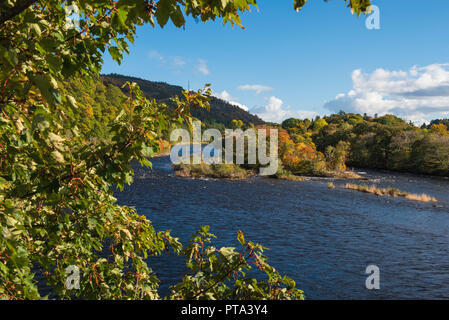 Herbstliche Farben am Ufer des Flusses Tay in Crieff, Perthshire, Schottland. Stockfoto