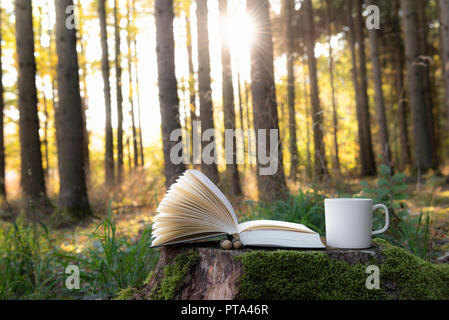 Lesen outdoor Thema Bild mit einem offenen Buch und einer Tasse Kaffee auf eine Baumwurzel, und die Sonne durch die Bäume im Hintergrund scheint, in Deutschland. Stockfoto