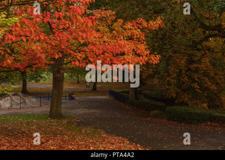 Wunderbare herbstliche Farben im Lister Park, Bradford, der Heimat der erstaunliche Cartwright Hall, wo ein junger David Hockney verwendet zu besuchen Stockfoto