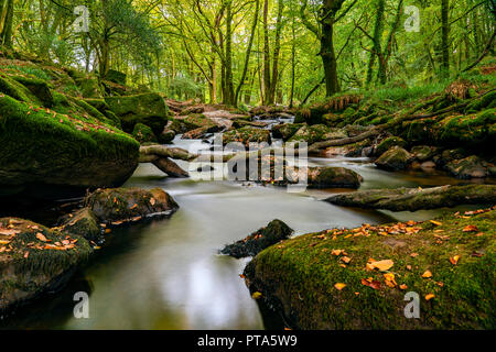 Golitha Falls sind eine der schönsten Wälder in Cornwall, Hier die autmnal Farben und Moos bedeckt Boulder ein perfektes Beispiel der Cornish Stockfoto