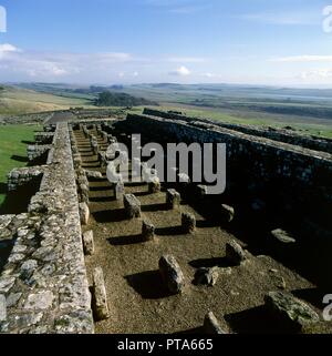Getreidespeicher in Housesteads Fort, Hadrian's Wall, Northumberland, 2010. Schöpfer: Unbekannt. Stockfoto