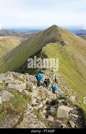 Schüttler kriechen auf Swirral Kante mit Catstye Cam Hinter, Lake District, Cumbria, Großbritannien Stockfoto