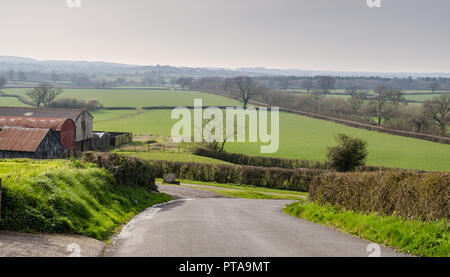 Eine einspurige Landstraße schlängelt sich durch landwirtschaftliche Felder und Weideland in der rollenden Milchwirtschaft Landschaft von North West Dorset. Stockfoto