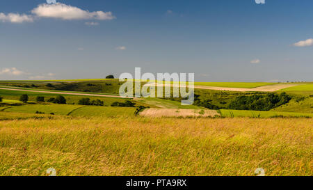 Ein Flickenteppich von Ackerland Felder und kleine Wälder umfasst die hügelige Landschaft der Cranborne Chase an Tollard Royal an der Grenze von Wiltshire und Dors Stockfoto